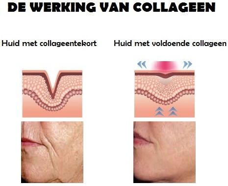 collageen huid collageen huid